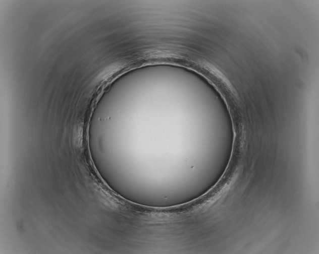 X0000111180777200907081234