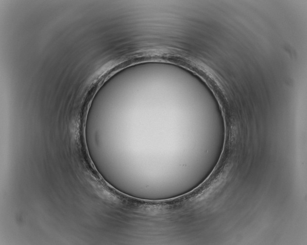 X0000111180778200907081234