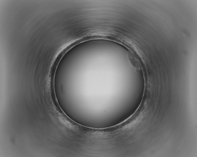 X0000111180779200907081234