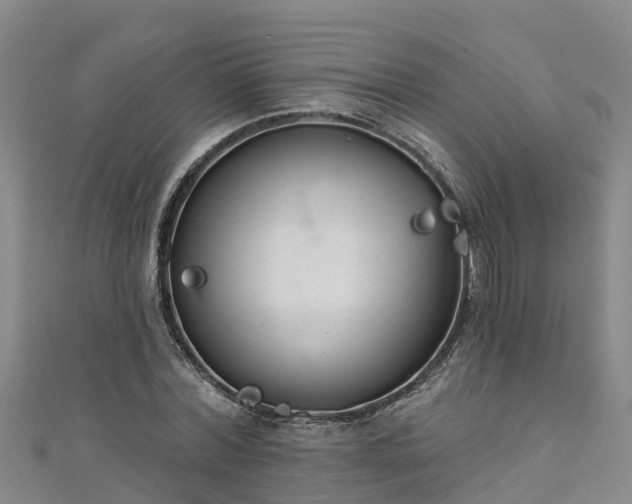 X0000111180780200907081234