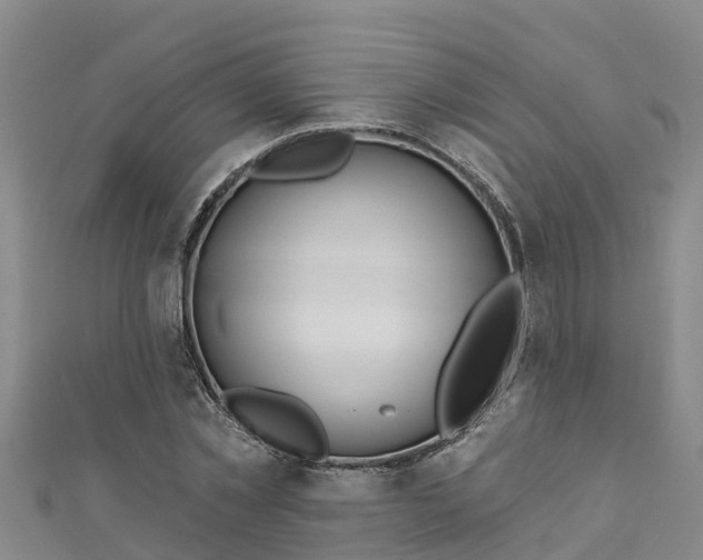 X0000111180781200907081234