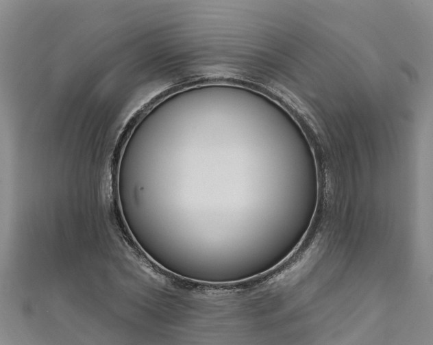 X0000111180782200907081234