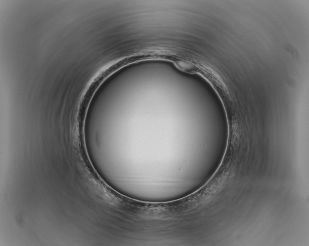 X0000111180784200907081234