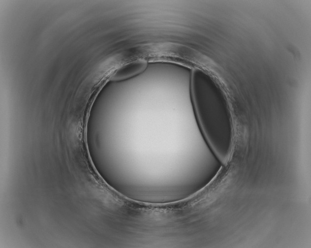 X0000111180785200907081234