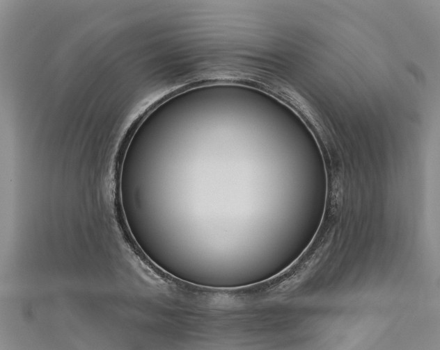 X0000111180787200907081234