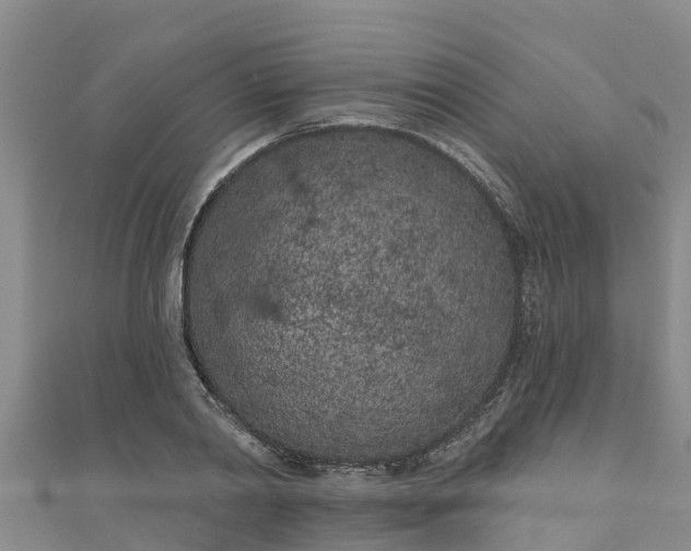 X0000111180790200907081234