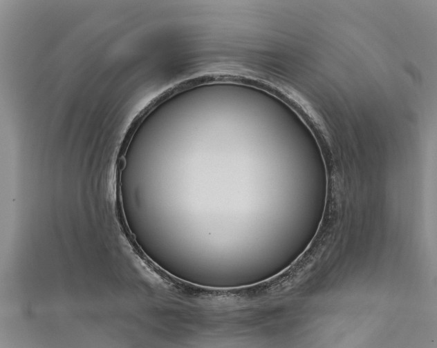 X0000111180791200907081234