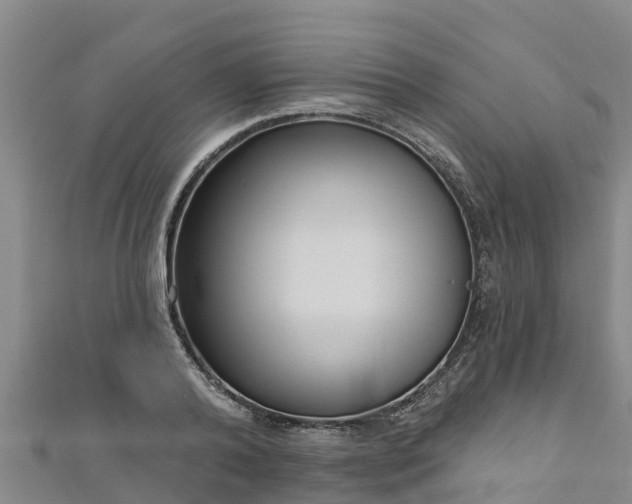 X0000111180792200907081234