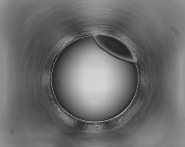 X0000111180793200907081234