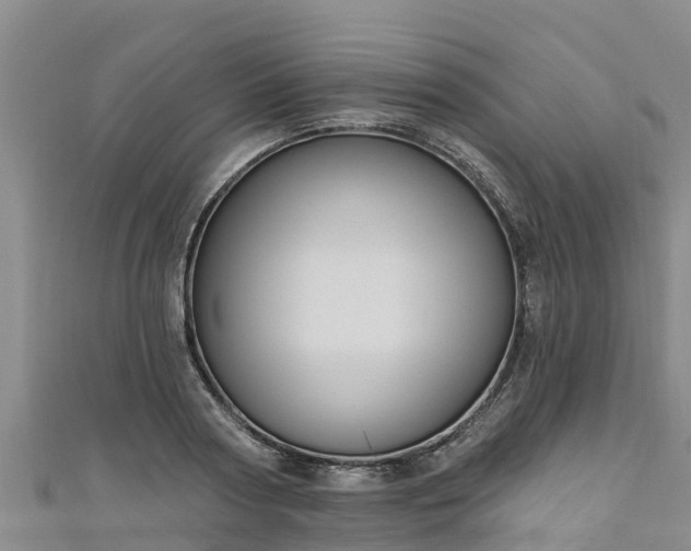 X0000111180794200907081234