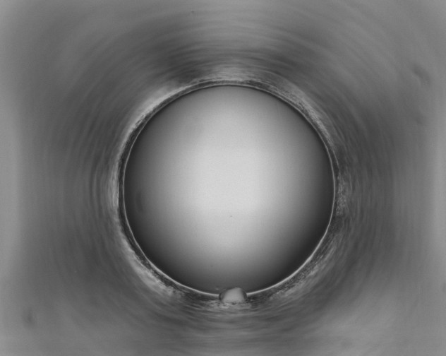 X0000111180795200907081234