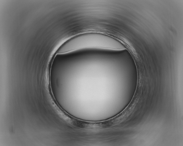 X0000111180796200907081234