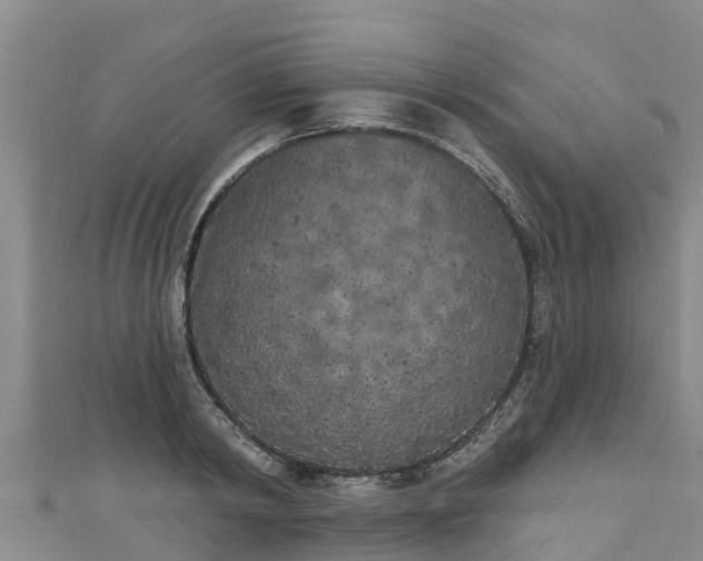 X0000111180798200907081234