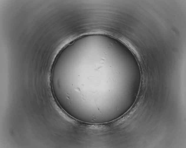 X0000111180805200907081234