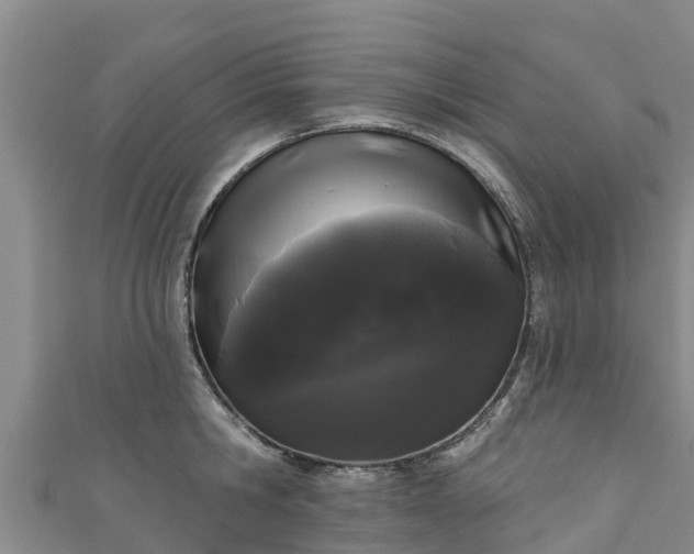 X0000111180806200907081234