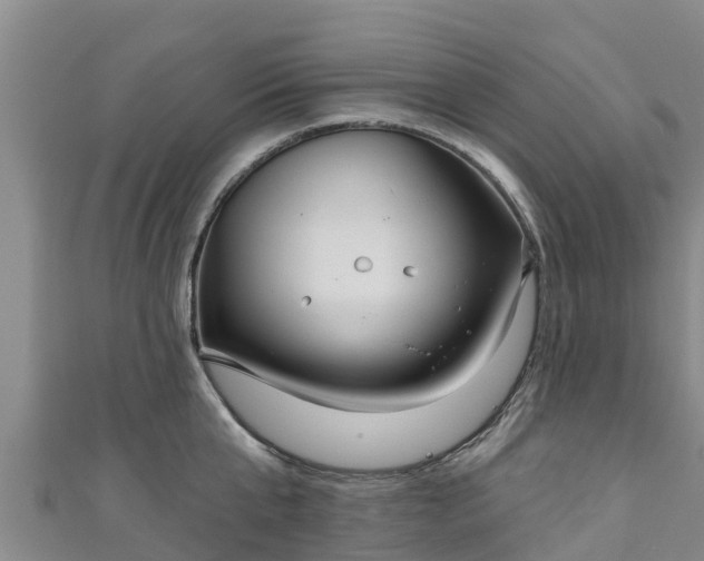 X0000111180807200907081234