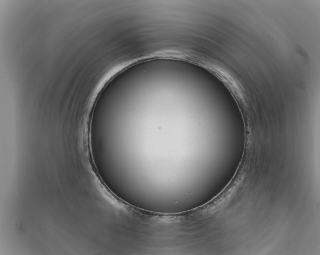 X0000111180808200907081234