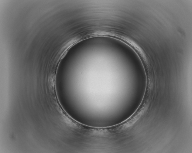 X0000111180809200907081234