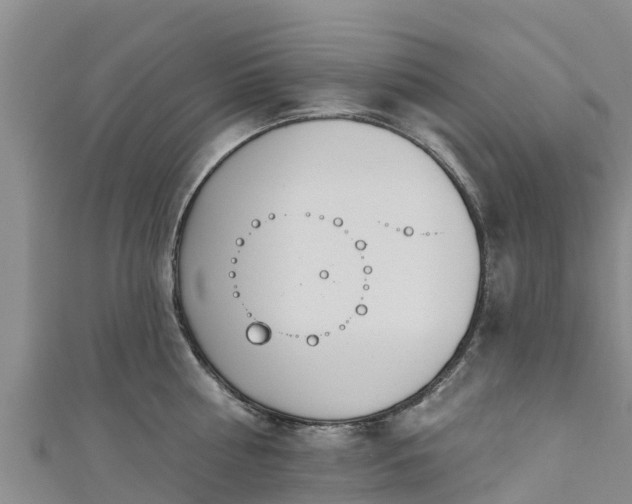 X0000111180810200907081234