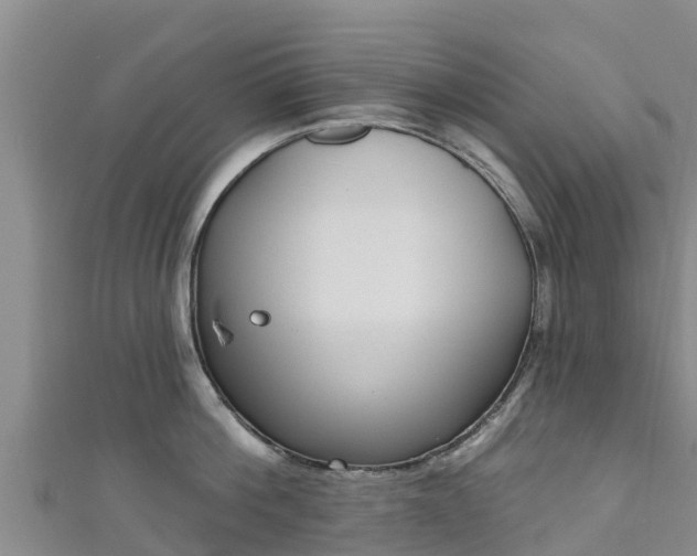 X0000111180812200907081234