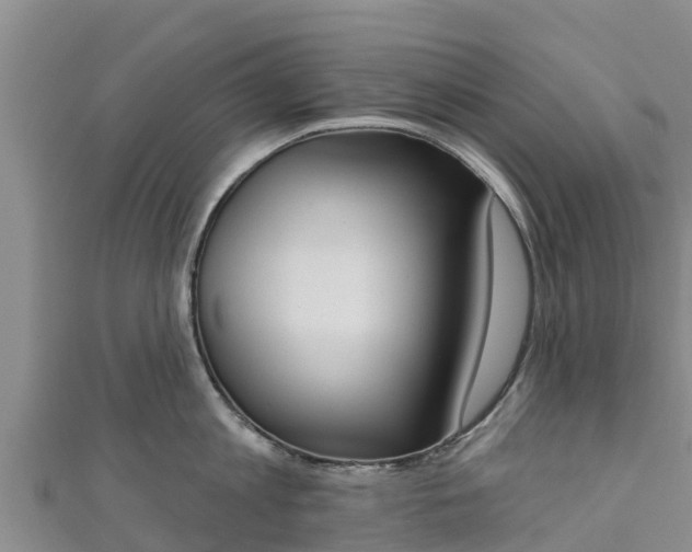 X0000111180813200907081234