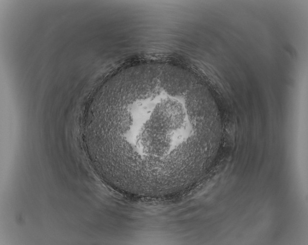 X0000111180817200907081233