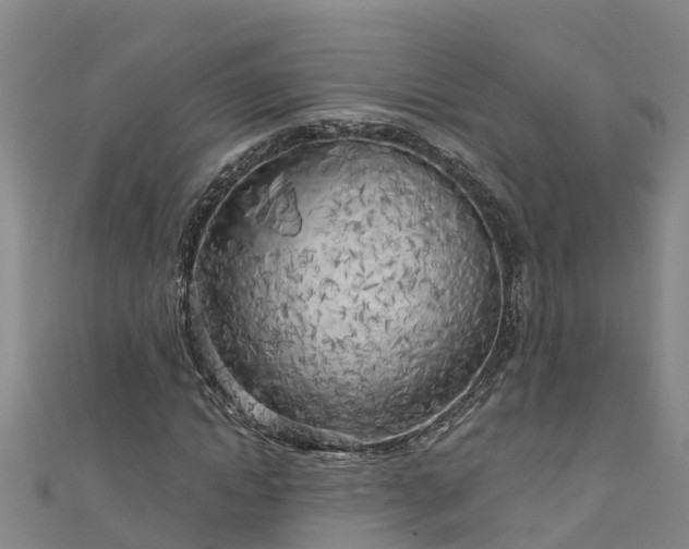 X0000111180822200907081233
