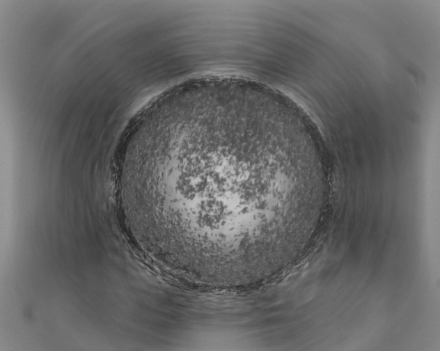 X0000111180823200907081233