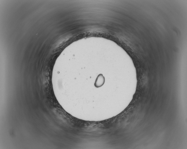 X0000111180824200907081233