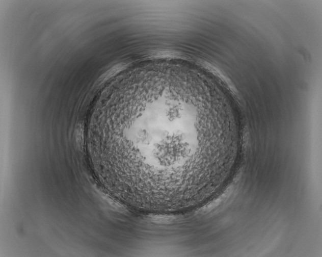 X0000111180825200907081233