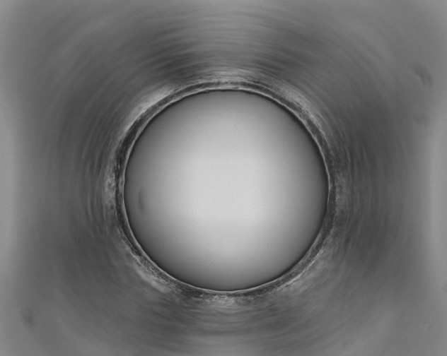 X0000111180827200907081233