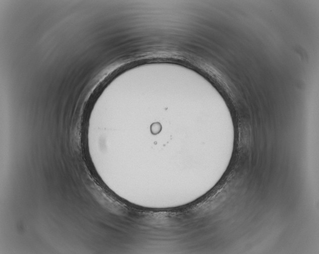 X0000111180828200907081233