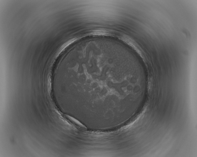 X0000111180829200907081233