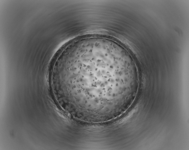 X0000111180830200907081233