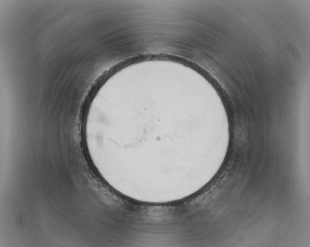 X0000111180832200907081233