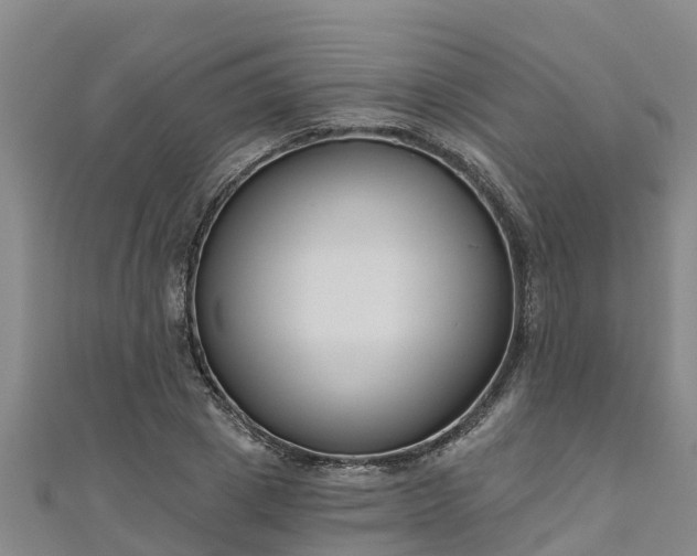 X0000111180833200907081233