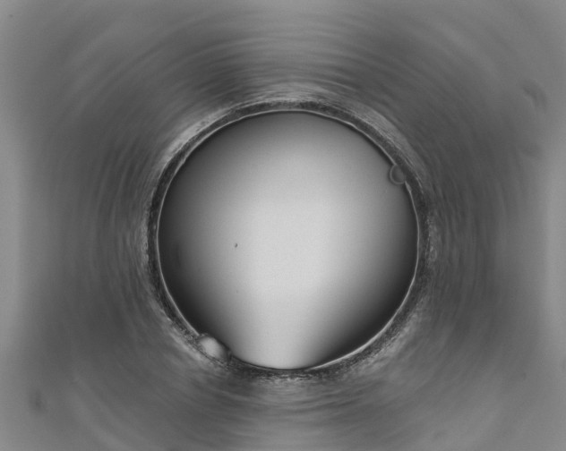 X0000111180834200907081233