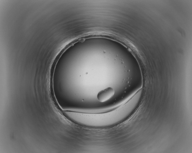 X0000111180836200907081233