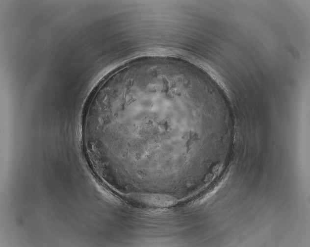 X0000111180837200907081233