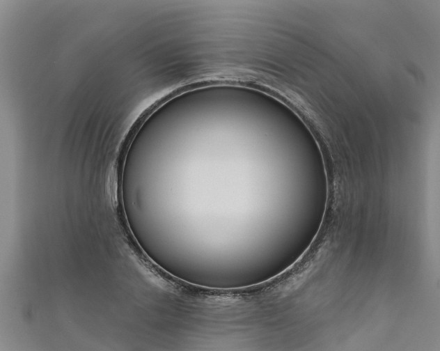 X0000111180838200907081234