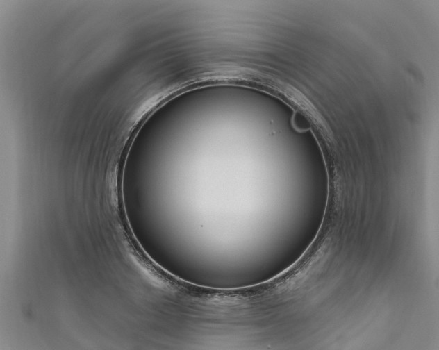 X0000111180842200907081234