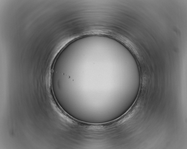 X0000111180844200907081234