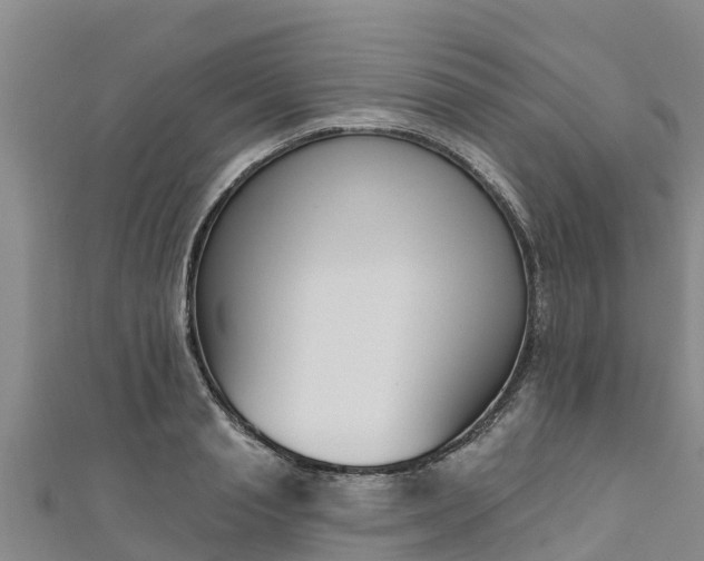 X0000111180845200907081234