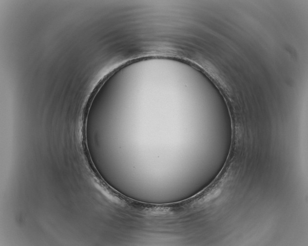 X0000111180846200907081234