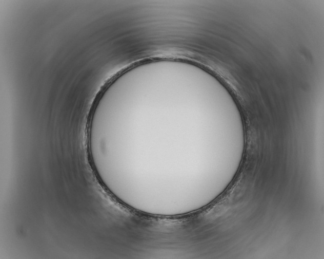 X0000111180848200907081234