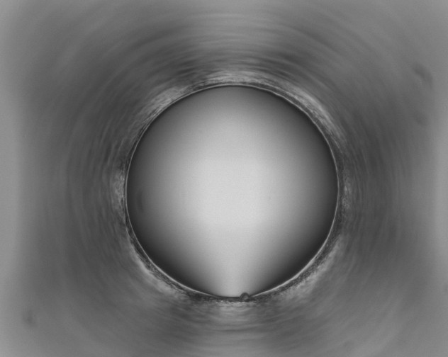 X0000111180849200907081234