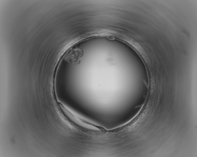 X0000111180850200907081234