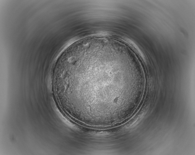 X0000111180851200907081234