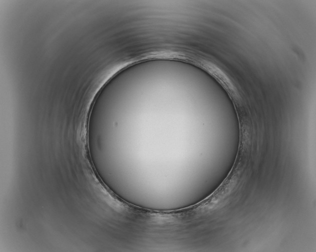 X0000111180852200907081234