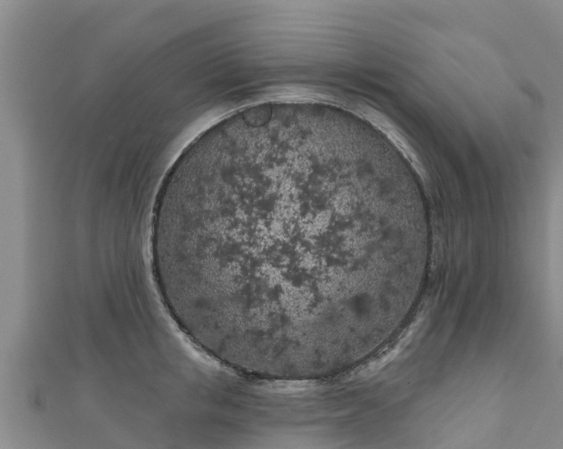 X0000111180853200907081234